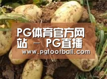 产品展示标题2