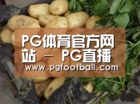 产品展示标题4