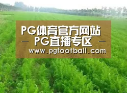 种植基地四