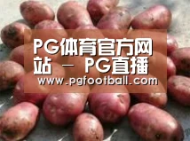 产品展示标题5(图1)